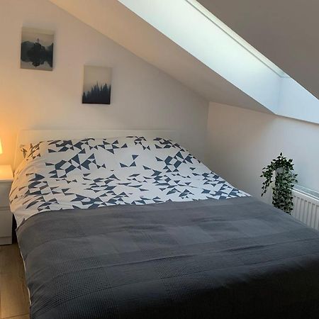 Apartament Pod Gwiazdami Daire Ostrów Wielkopolski Dış mekan fotoğraf